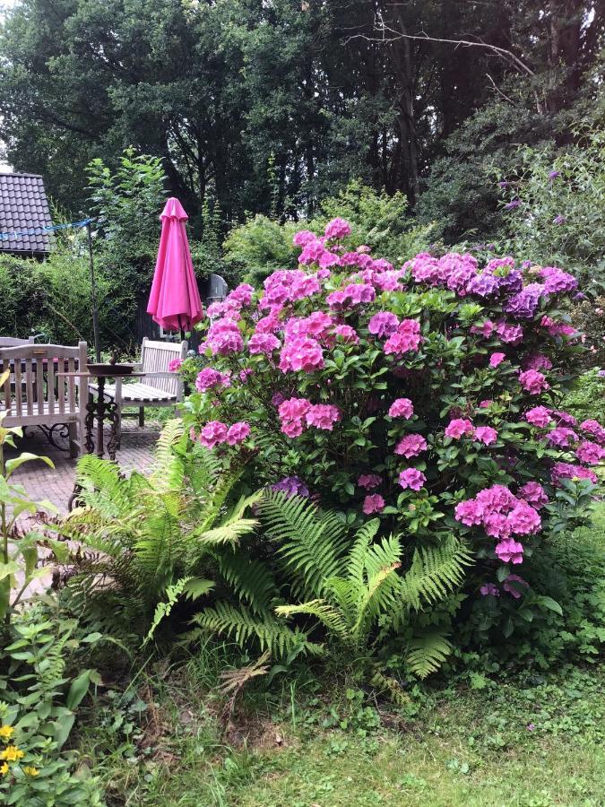 Blauwe Lelie Villa Ewijk Eksteriør bilde