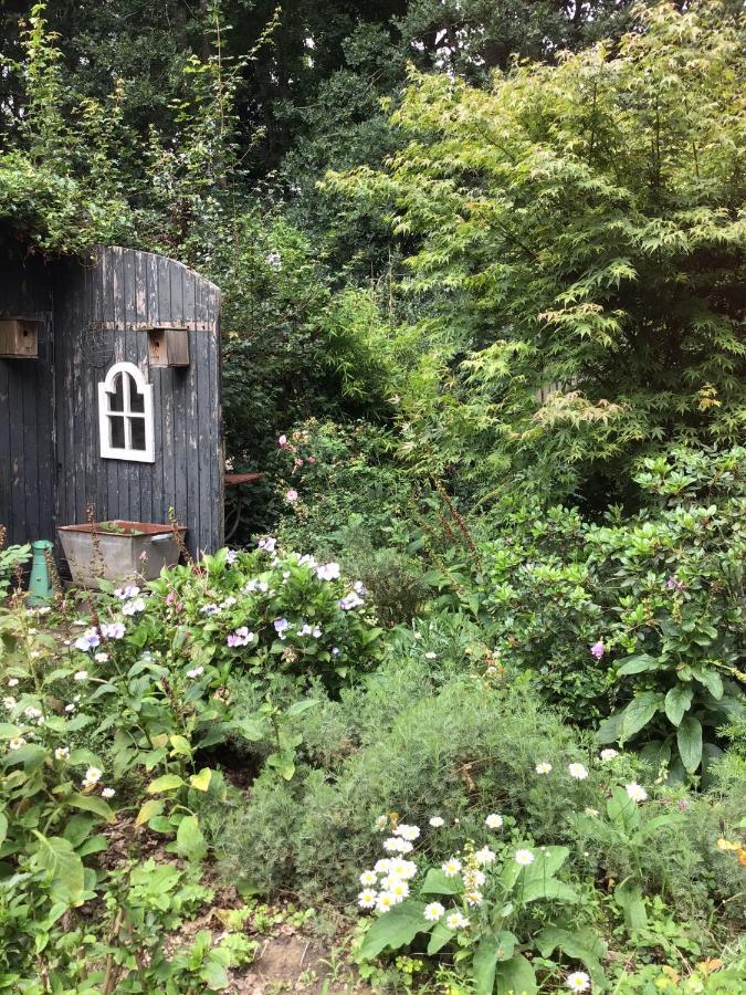 Blauwe Lelie Villa Ewijk Eksteriør bilde