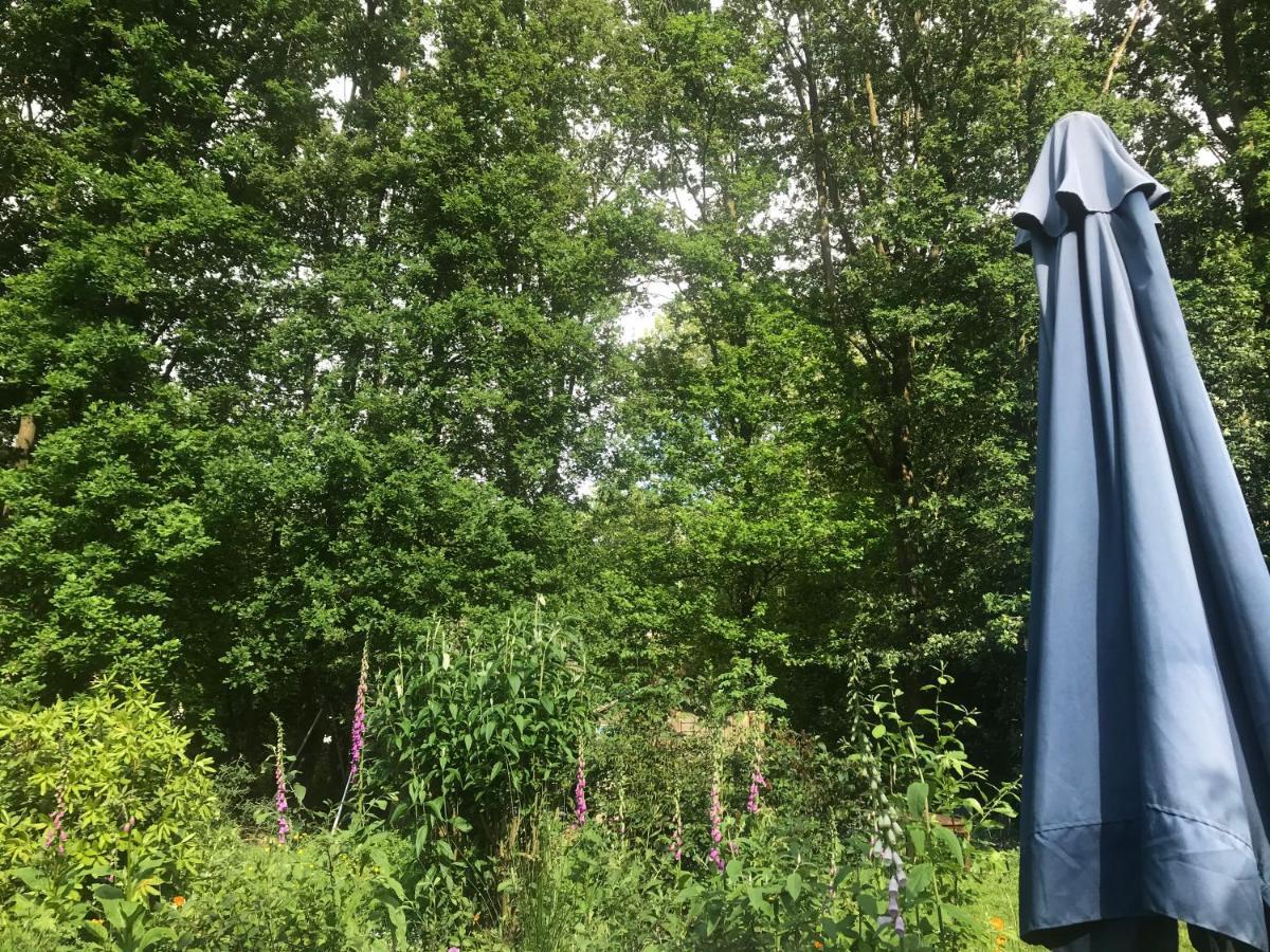Blauwe Lelie Villa Ewijk Eksteriør bilde